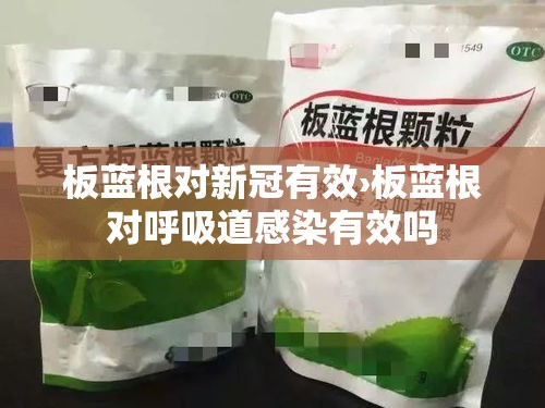 板蓝根对新冠有效›板蓝根对呼吸道感染有效吗 板蓝根对新冠有效›板蓝根对呼吸道感染有效吗