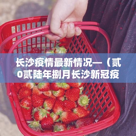 长沙疫情最新情况—（贰0贰陆年捌月长沙新冠疫情）