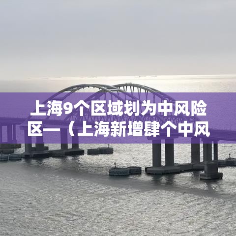 上海9个区域划为中风险区—(上海新增肆个中风险) 上海9个区域划为中风险区—(上海新增肆个中风险)