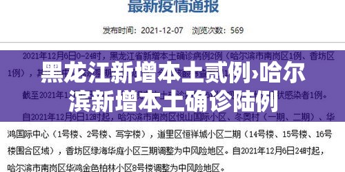 黑龙江新增本土贰例›哈尔滨新增本土确诊陆例