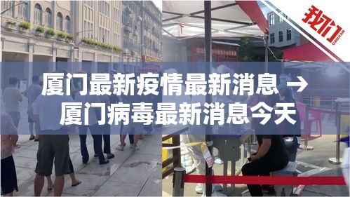 厦门最新疫情最新消息 → 厦门病毒最新消息今天