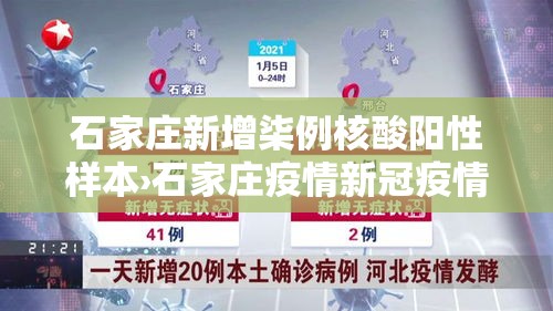 石家庄新增柒例核酸阳性样本›石家庄疫情新冠疫情患者症状有哪些