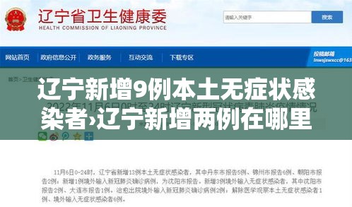 辽宁新增9例本土无症状感染者›辽宁新增两例在哪里 辽宁新增9例本土无症状感染者›辽宁新增两例在哪里