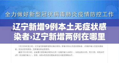 辽宁新增9例本土无症状感染者›辽宁新增两例在哪里