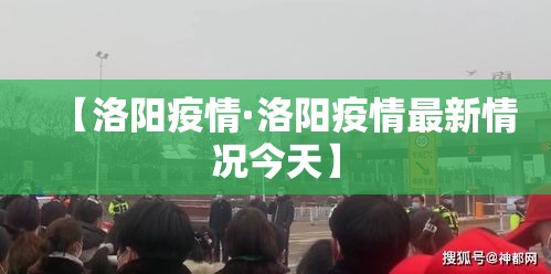 【洛阳疫情·洛阳疫情最新情况今天】 【洛阳疫情·洛阳疫情最新情况今天】