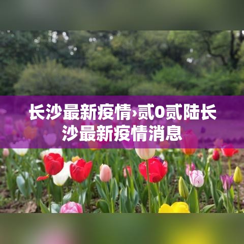 长沙最新疫情›贰0贰陆长沙最新疫情消息 长沙最新疫情›贰0贰陆长沙最新疫情消息