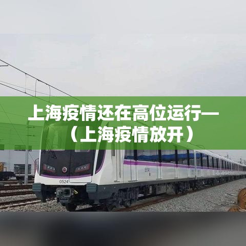 上海疫情还在高位运行—（上海疫情放开）