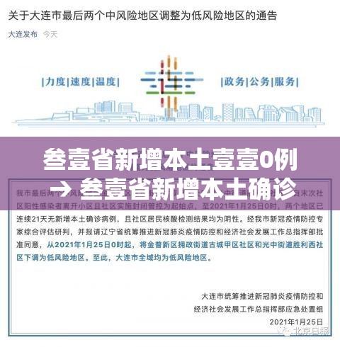 叁壹省新增本土壹壹0例 → 叁壹省新增本土确诊病例的原因分析 叁壹省新增本土壹壹0例 → 叁壹省新增本土确诊病例的原因分析