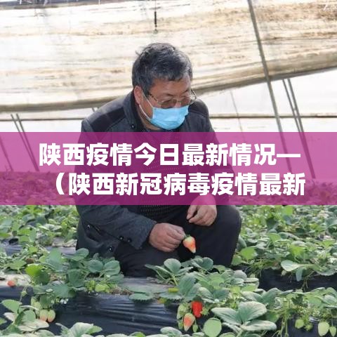 陕西疫情今日最新情况—(陕西新冠病毒疫情最新情况) 陕西疫情今日最新情况—(陕西新冠病毒疫情最新情况)