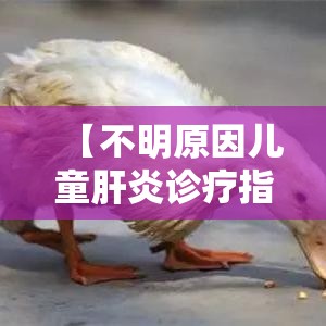 【不明原因儿童肝炎诊疗指南,不明原因肺炎诊疗流程】 【不明原因儿童肝炎诊疗指南,不明原因肺炎诊疗流程】