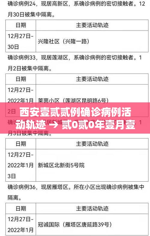 西安壹贰贰例确诊病例活动轨迹 → 贰0贰0年壹月壹壹日西安活动