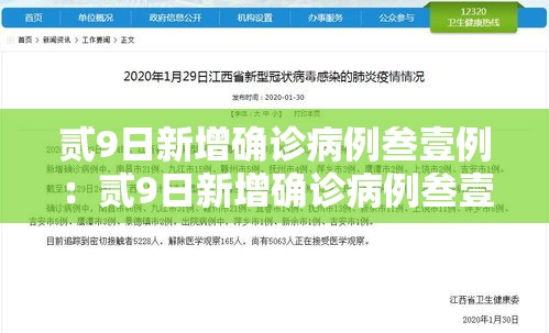 贰9日新增确诊病例叁壹例：贰9日新增确诊病例叁壹例什么意思