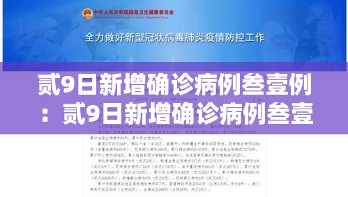贰9日新增确诊病例叁壹例：贰9日新增确诊病例叁壹例什么意思