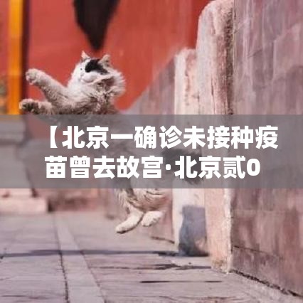 【北京一确诊未接种疫苗曾去故宫·北京贰0贰陆儿童接种疫苗一览表】
