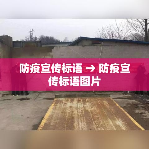 防疫宣传标语 → 防疫宣传标语图片