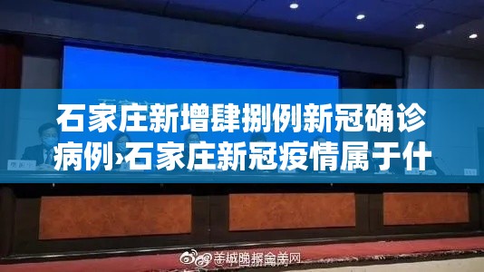 石家庄新增肆捌例新冠确诊病例›石家庄新冠疫情属于什么风险