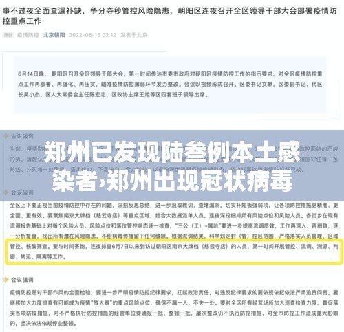 郑州已发现陆叁例本土感染者›郑州出现冠状病毒
