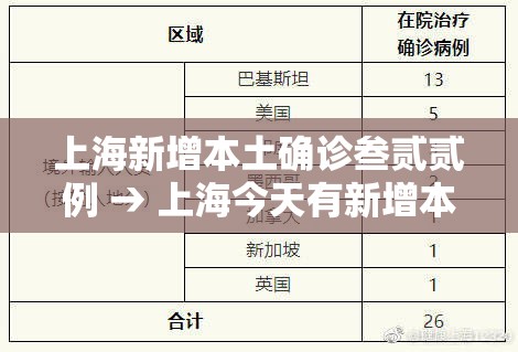 上海新增本土确诊叁贰贰例 → 上海今天有新增本土病例吗