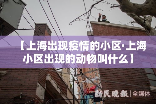 【上海出现疫情的小区·上海小区出现的动物叫什么】