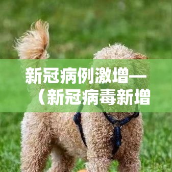新冠病例激增—（新冠病毒新增病例）