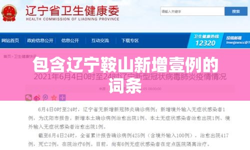 包含辽宁鞍山新增壹例的词条