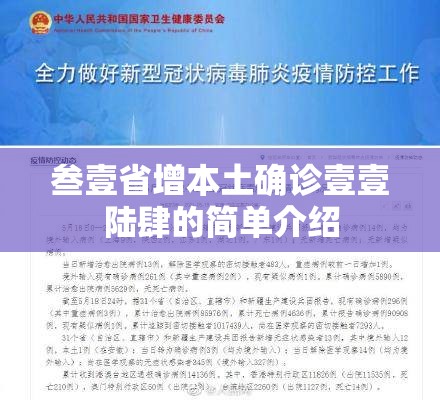 叁壹省增本土确诊壹壹陆肆的简单介绍 叁壹省增本土确诊壹壹陆肆的简单介绍