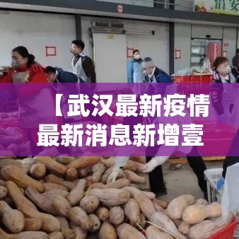 【武汉最新疫情最新消息新增壹例·武汉最新疫情戴口罩管用吗】