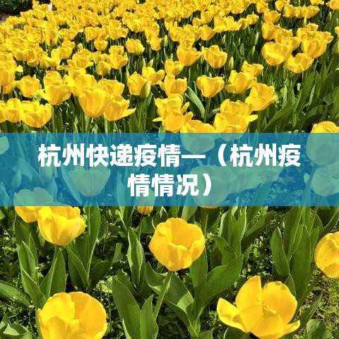 杭州快递疫情—（杭州疫情情况）