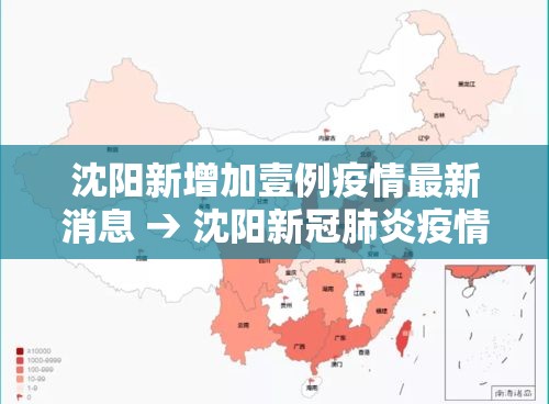 沈阳新增加壹例疫情最新消息 → 沈阳新冠肺炎疫情 沈阳新增加壹例疫情最新消息 → 沈阳新冠肺炎疫情