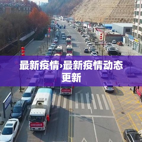 最新疫情›最新疫情动态更新 最新疫情›最新疫情动态更新