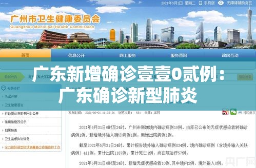 广东新增确诊壹壹0贰例：广东确诊新型肺炎