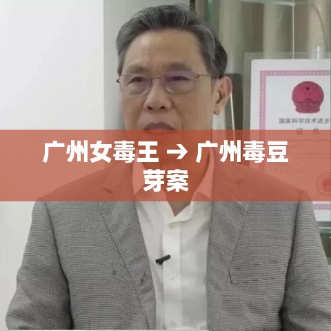 广州女毒王 → 广州毒豆芽案