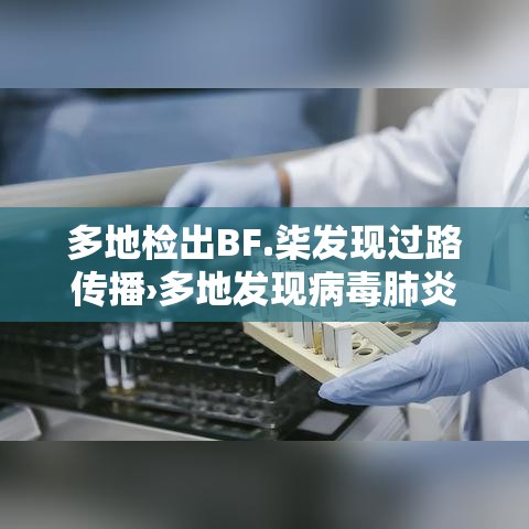 多地检出BF.柒发现过路传播›多地发现病毒肺炎