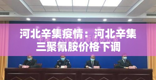 河北辛集疫情：河北辛集三聚氰胺价格下调