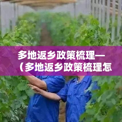 多地返乡政策梳理—（多地返乡政策梳理怎么写）