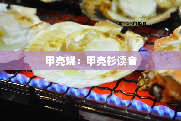 甲壳烧:甲壳杉读音 甲壳烧:甲壳杉读音