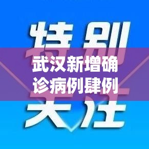 武汉新增确诊病例肆例›武汉疫情最新情况