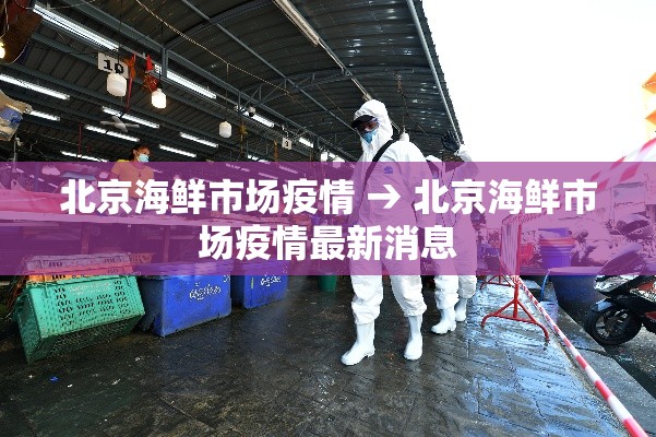 北京海鲜市场疫情 → 北京海鲜市场疫情最新消息