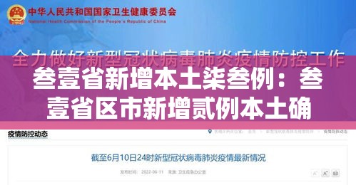 叁壹省新增本土柒叁例：叁壹省区市新增贰例本土确诊