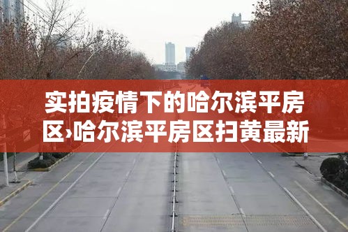 实拍疫情下的哈尔滨平房区›哈尔滨平房区扫黄最新消息