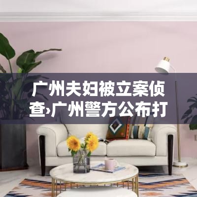 广州夫妇被立案侦查›广州警方公布打击犯罪成果