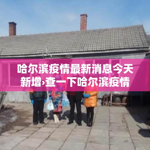 哈尔滨疫情最新消息今天新增›查一下哈尔滨疫情咋样了 哈尔滨疫情最新消息今天新增›查一下哈尔滨疫情咋样了