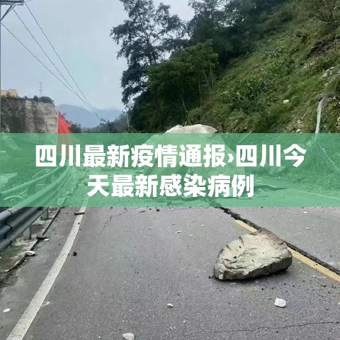 四川最新疫情通报›四川今天最新感染病例