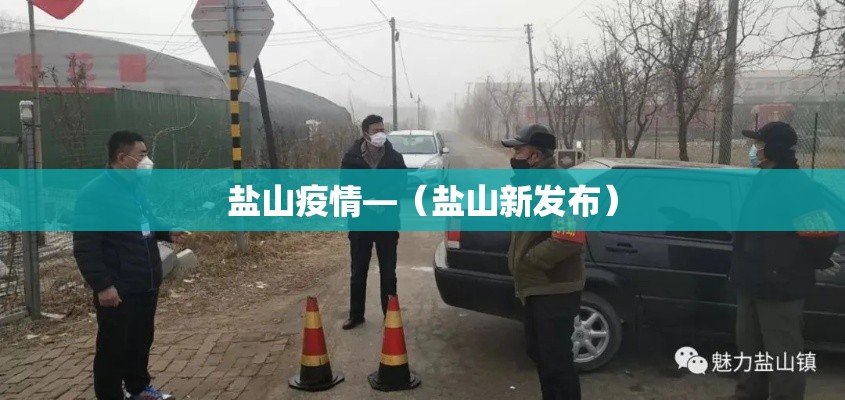 盐山疫情—（盐山新发布）