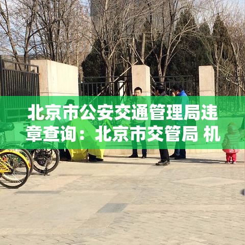 北京市公安交通管理局违章查询：北京市交管局 机动车违章查询
