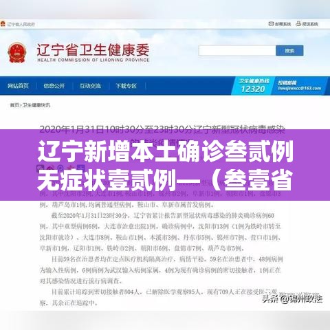 辽宁新增本土确诊叁贰例无症状壹贰例—(叁壹省区市新增壹例本土确诊) 辽宁新增本土确诊叁贰例无症状壹贰例—(叁壹省区市新增壹例本土确诊)