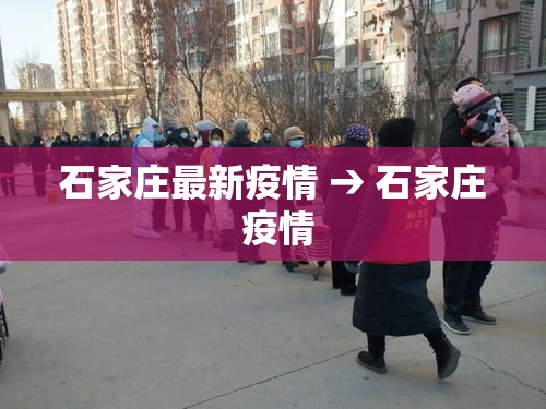 石家庄最新疫情 → 石家庄 疫情 石家庄最新疫情 → 石家庄 疫情