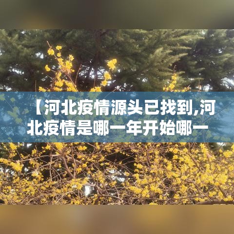 【河北疫情源头已找到,河北疫情是哪一年开始哪一年结束】 【河北疫情源头已找到,河北疫情是哪一年开始哪一年结束】