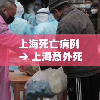 上海死亡病例 → 上海意外死亡 上海死亡病例 → 上海意外死亡