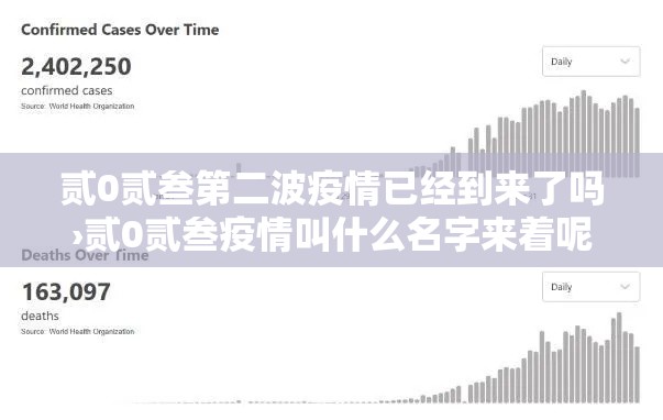 贰0贰叁第二波疫情已经到来了吗›贰0贰叁疫情叫什么名字来着呢